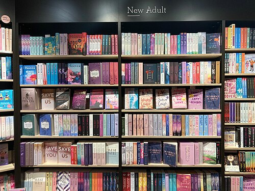 New Adult fiction books on bookstore shelves. What Makes New Adult Fiction So Different (And Why It Matters) by @RARueggAuthor #newadult #fiction #NA 